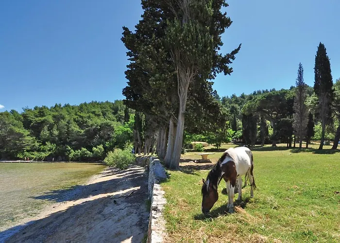 Beautiful In Dom wakacyjny Bol