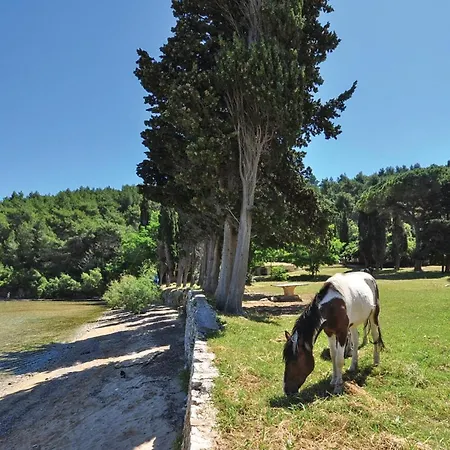 Beautiful In بيت للعطل بول